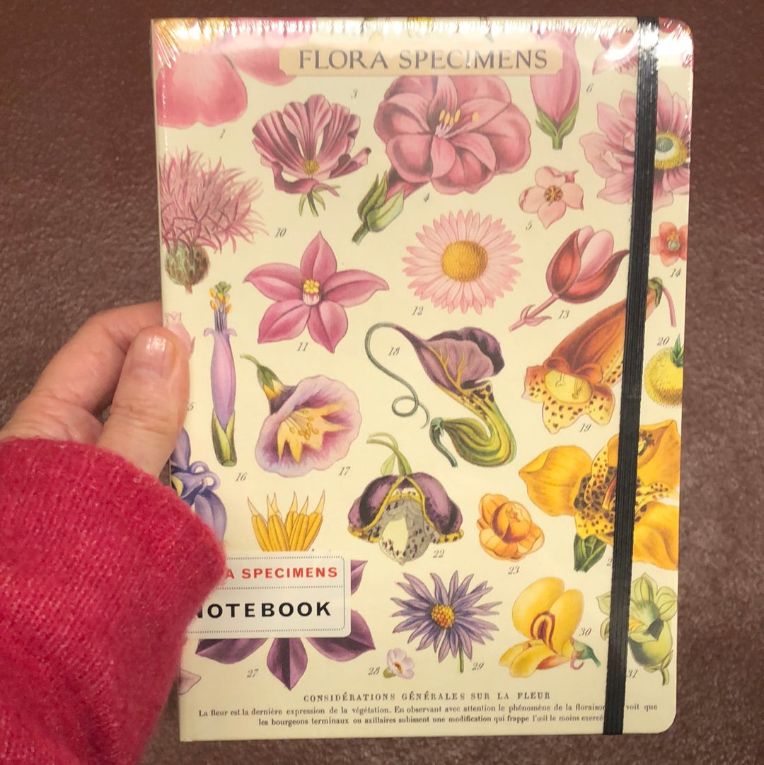 Large Notebook Flora Specimens