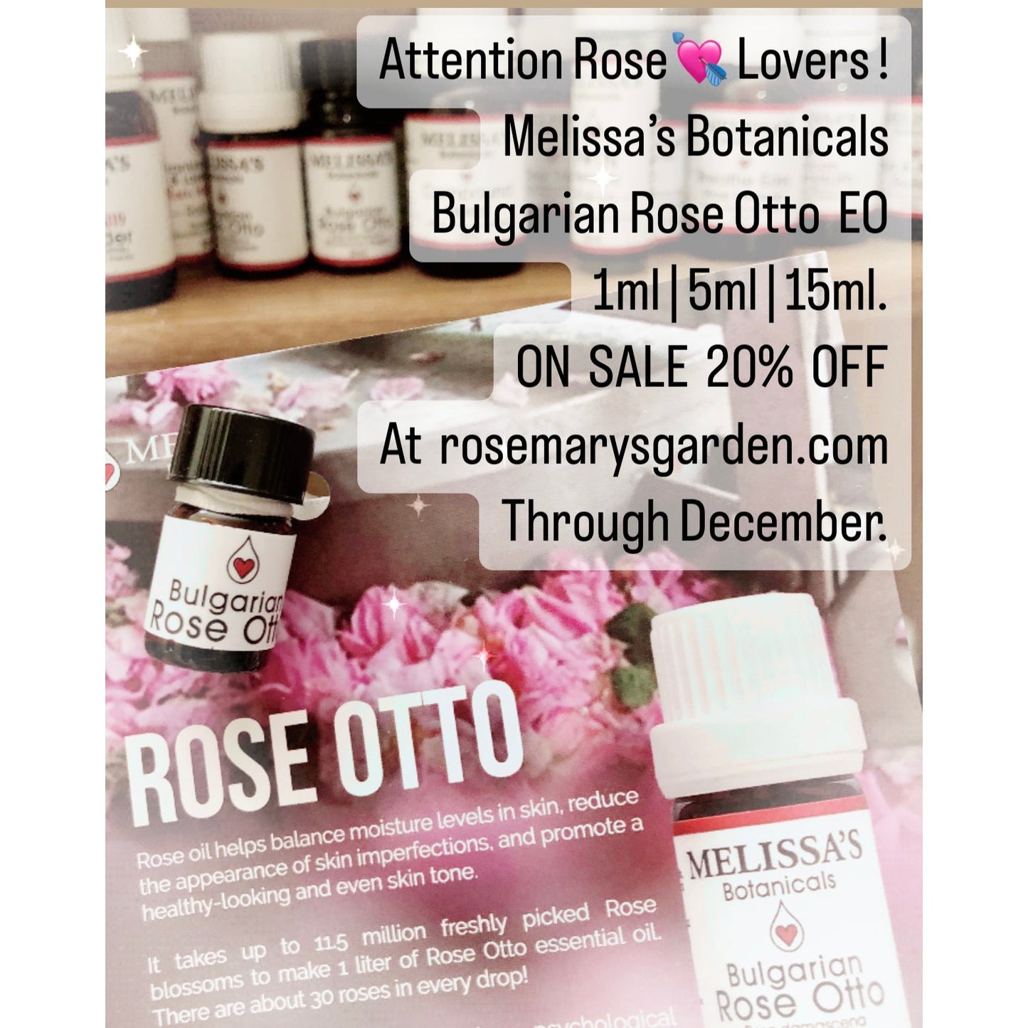 
                  
                    Rose Otto MB
                  
                